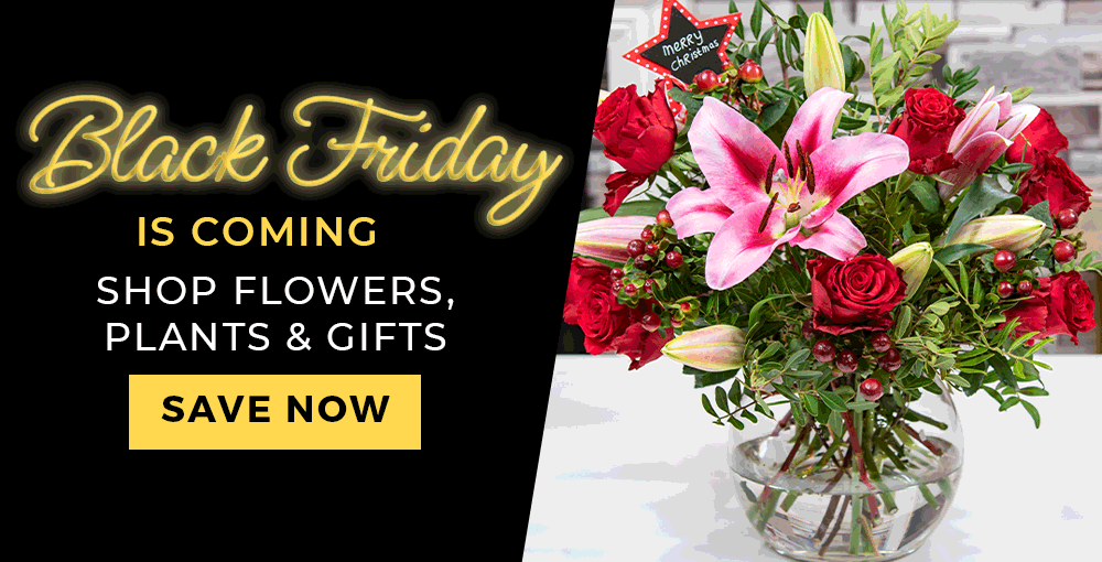 Black Friday Flowers Prestige Flowers