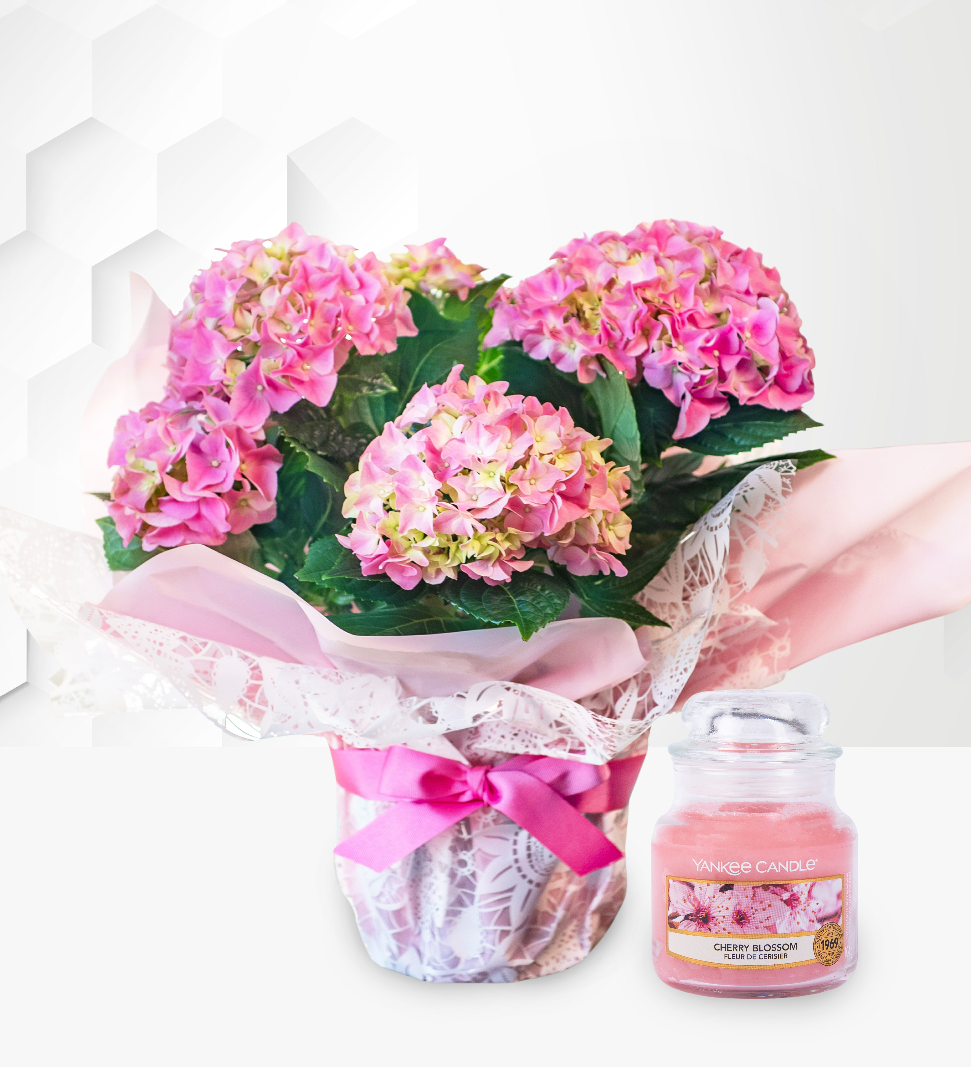 Heavenly Hydrangea Gift Prestige Flowers