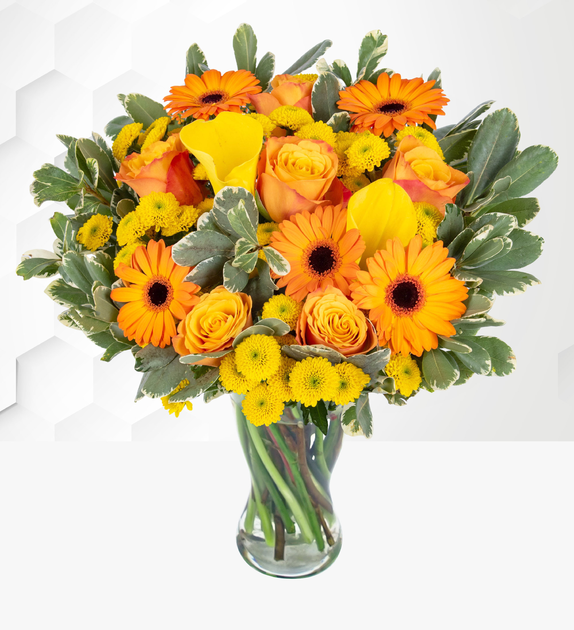 Indian Summer Prestige Flowers