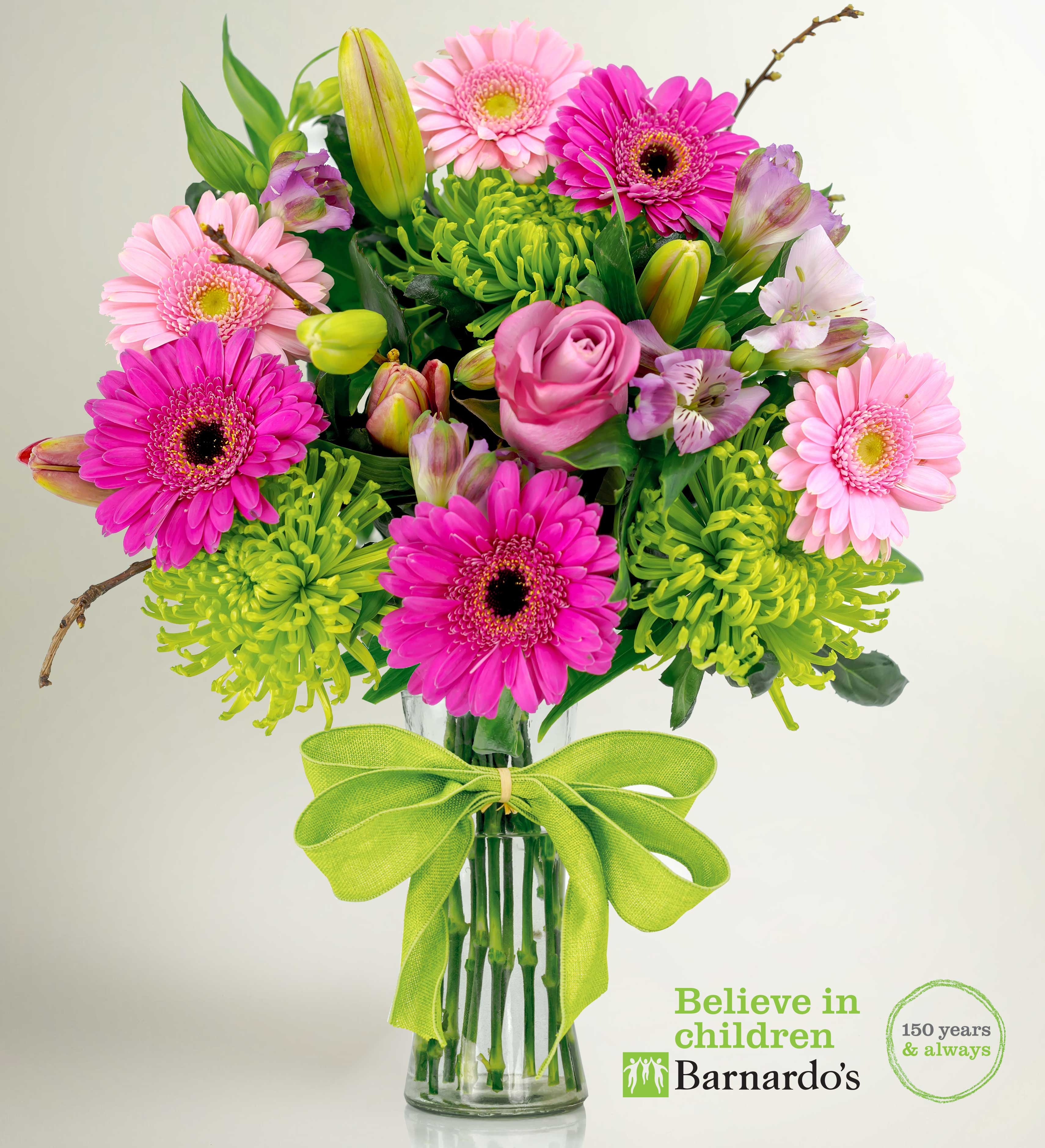 Daisy Prestige Flowers