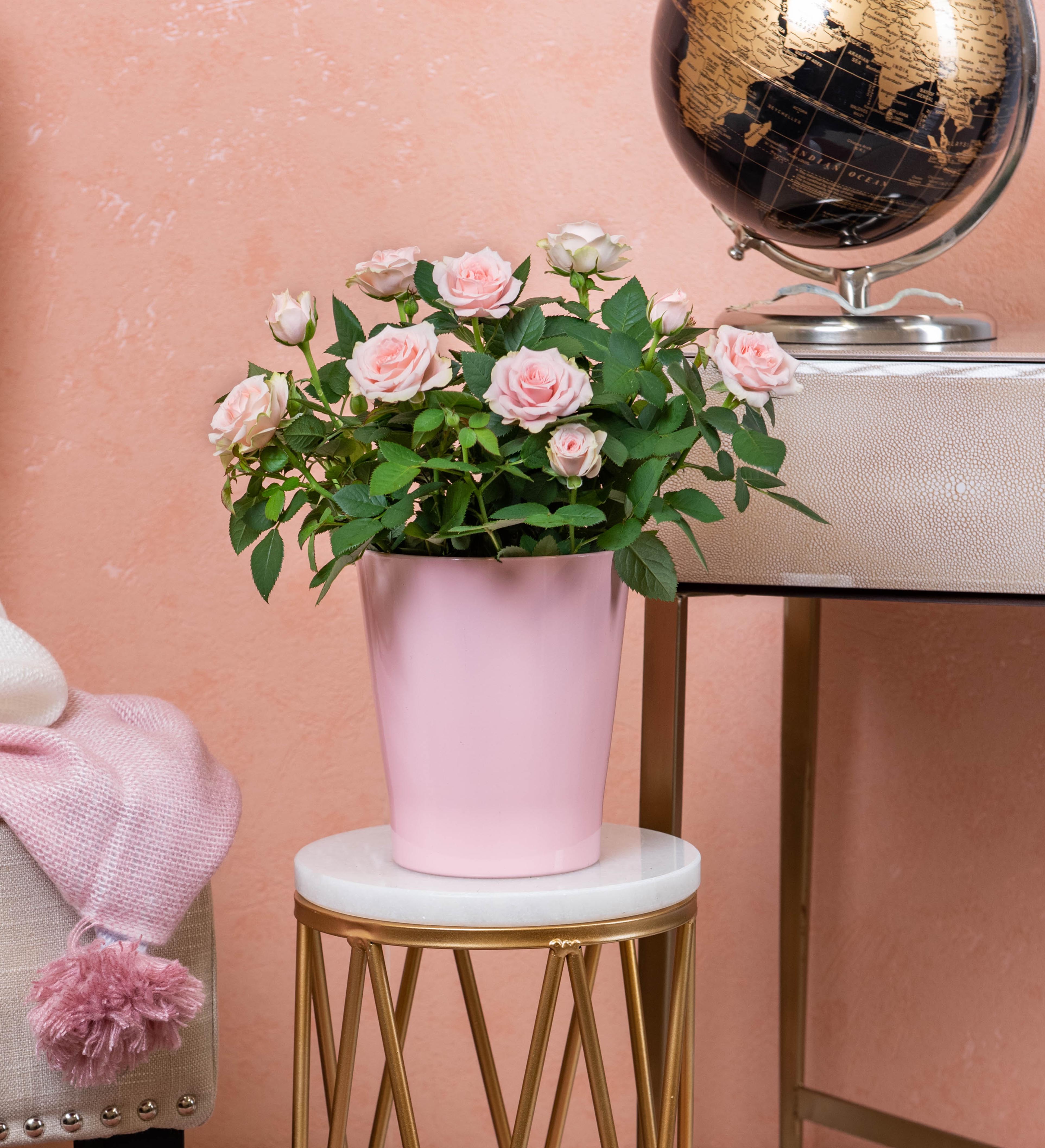 Classic Rose Prestige Flowers